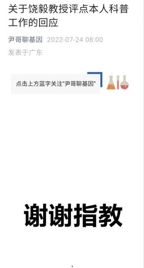 河南银行最新爆料新闻,揭秘神秘资金流向与监管漏洞  第3张